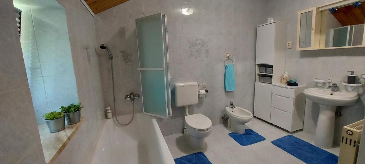 Apartma Pr' Ivani Miskorinovi Breginj Exterior photo